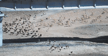 微信圖片_20190703093544.gif